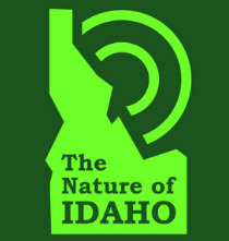 New Podcast Appearance!